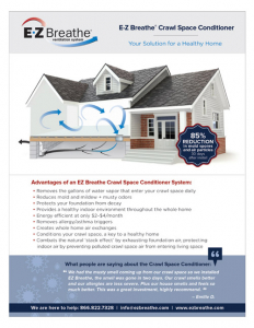 Trifecta Sales Flyer Triple Sump Pump flyer